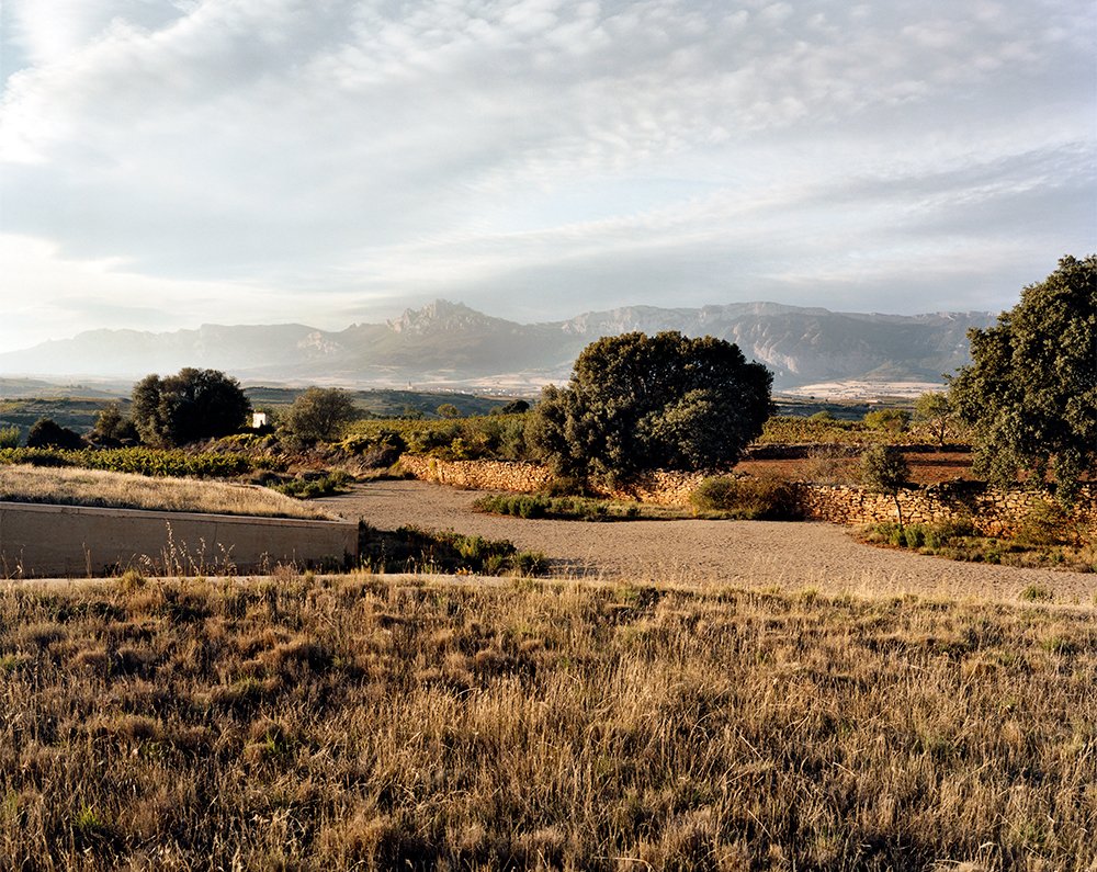 Imagen 4 de Valencia