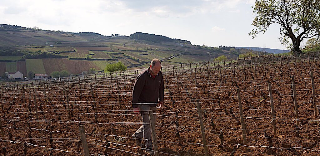 Imagen 5 de Bourgogne