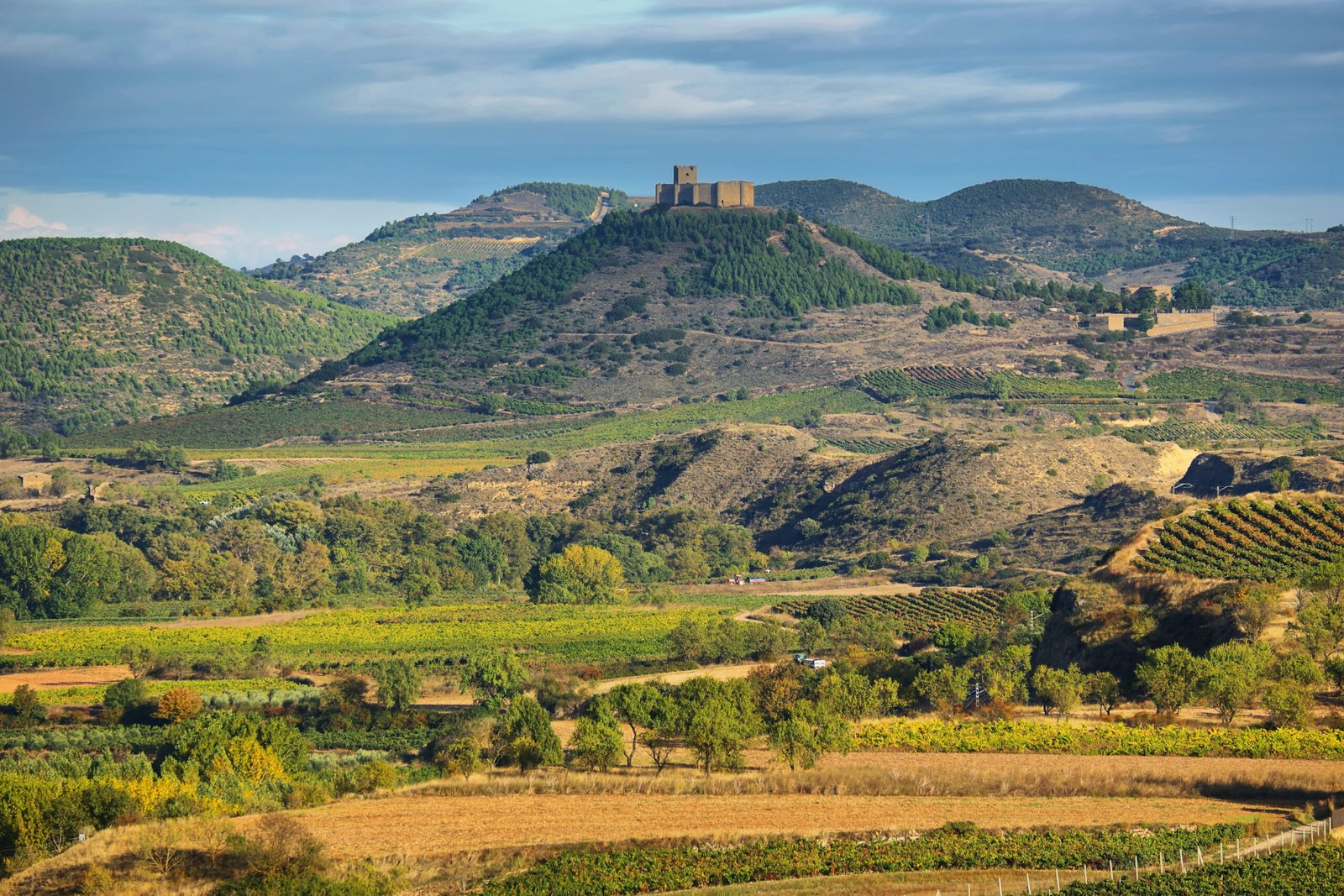 Imagen 5 de Rioja