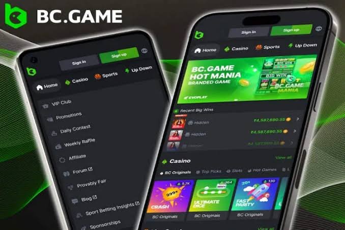 Exploring the World of BC.Game Crypto Casino